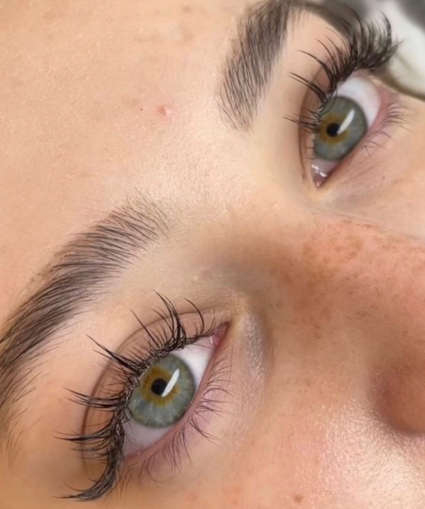WipsyFull Lash Technique